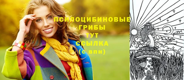apvp Балахна