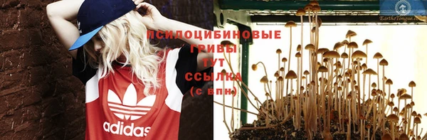 apvp Балахна