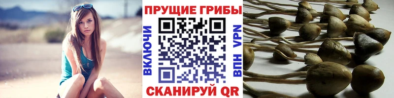 мориарти клад  Павловск  Галлюциногенные грибы мухоморы  где найти  