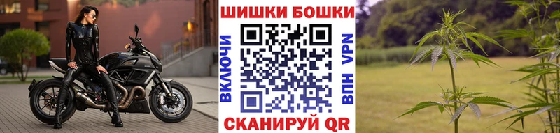 купить наркотики сайты  Павловск  площадка как зайти  Бошки Шишки планчик 